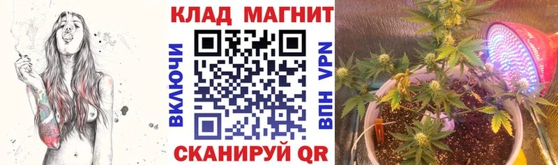 Магазины продажи наркотиков Лабытнанги КОКАИН  Амфетамин  гидра ТОР  MDMA  A-PVP  ГАШ 