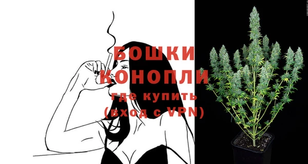 ECSTASY Сафоново