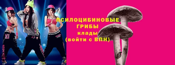 прущий лед Алексин