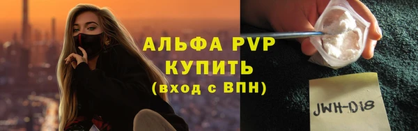 хмурый Алзамай