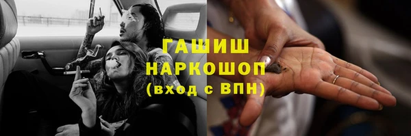 хмурый Алзамай