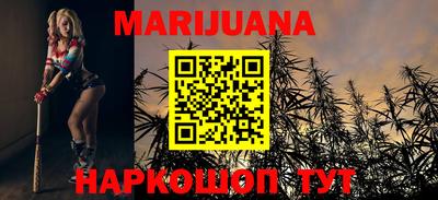 индика Гусиноозёрск