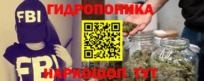 шишки Гусев