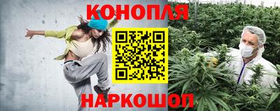 шишки Гусев