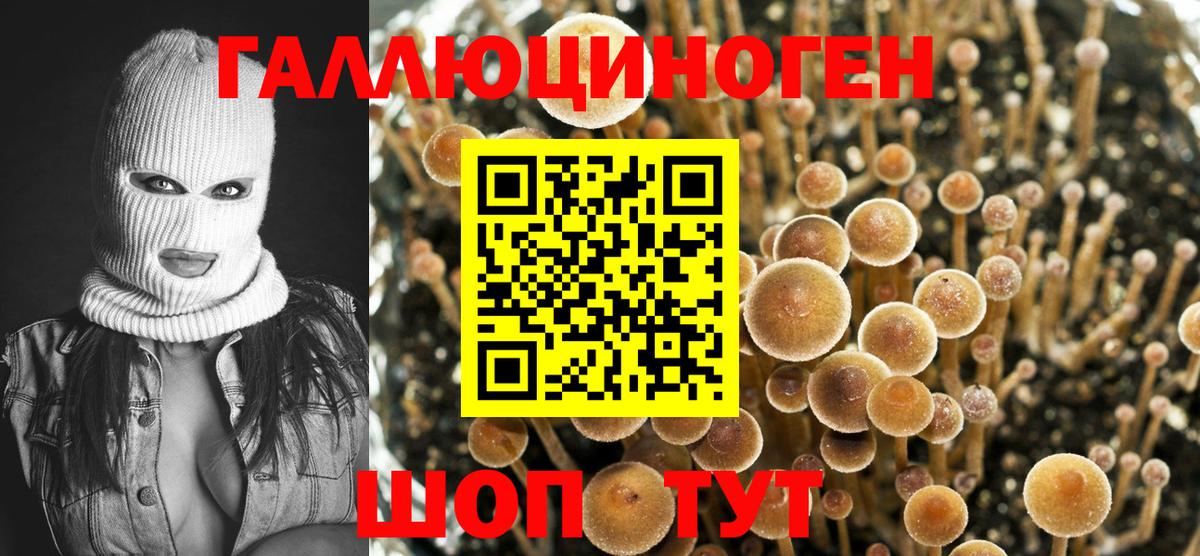 Галлюциногенные грибы мухоморы Лабытнанги
